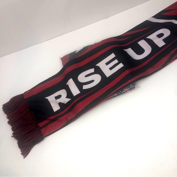 NFL Arizona Cardinals Set of 2 Scarves Rise Up Red Sea Scarf NEW - Picture 5 of 6
